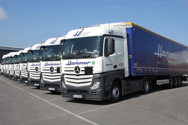 Hammer GmbH & Co. KG, Advanced Logistics - 11.02.20
