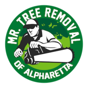 Mr. Tree Removal of Alpharetta - 11.03.19