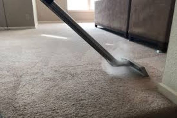 Aalik Arlington Heights Carpet Cleaning IL - 01.10.19