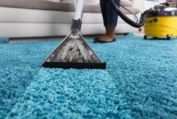 Aalik Arlington Heights Carpet Cleaning IL - 01.10.19
