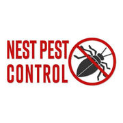 Nest Pest Control Service - 26.01.22