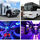 Party Bus Rental Baltimore - 20.08.16