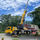 Martel Crane Service & Tree Removal - 03.08.20