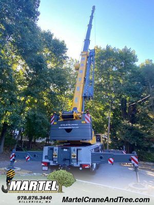 Martel Crane Service & Tree Removal - 29.05.21