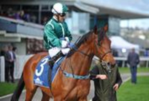 Challenge Racehorse Syndications - 12.06.18