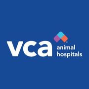 VCA Fitzgerald Animal Hospital - 24.02.22