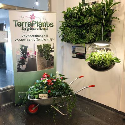 TerraPlants AB - 07.05.19