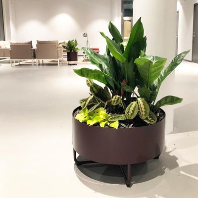 TerraPlants AB - 07.05.19