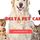 Delta Pet Care - 07.11.17