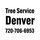 Tree Service Denver Photo