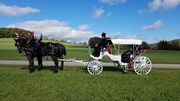 Horsing Round Carriage Service - 10.02.20