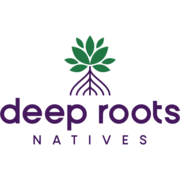 Deep Roots Natives - 01.11.22