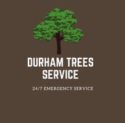 RJ Tree Service Pros - 01.05.21