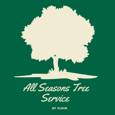 All Seasons Tree Service of Elgin - 15.02.20