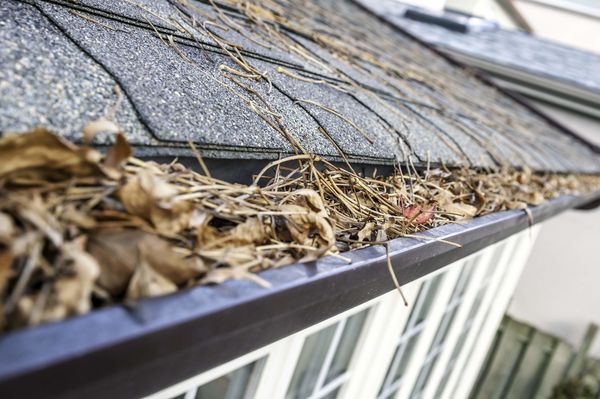 Clean Pro Gutter Cleaning Erie - 23.12.20