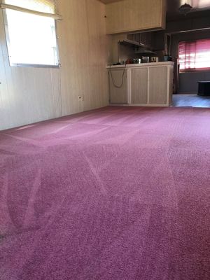 Fresh carpet cleaning - 02.12.21