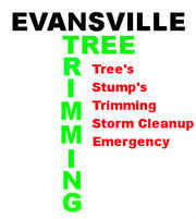 Tree Trimming Evansville - 25.10.16