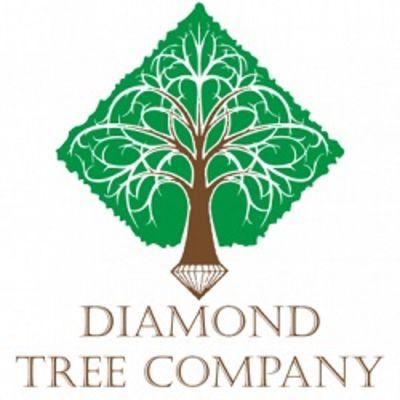Diamond Tree Company - 05.09.20