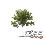 Tree Tutoring LLC - 10.02.20