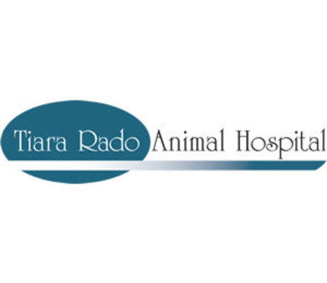 Tiara Rado Animal Hospital - 20.07.15