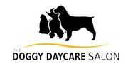 The Doggy Daycare Salon - 05.02.20