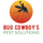 Bug Cowboy's Pest Solutions - 11.11.21