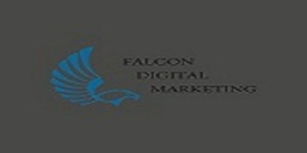 Falcon Digital Marketing - 03.04.19