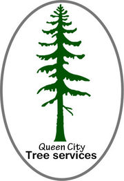 Queen City Tree Services - 12.03.14
