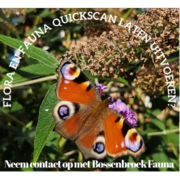Bossenbroek Fauna - 06.04.22
