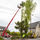 Ovalle Tree Service & Landscaping Photo