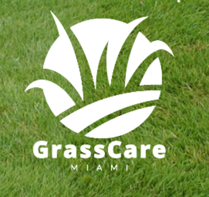 Grass Care Miami - 08.02.20