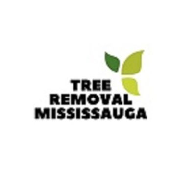 Tree Removal Mississauga - 08.07.18