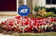 ADT Security Services - 21.05.20