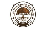 Pro Tree Service Nashville - 25.08.19