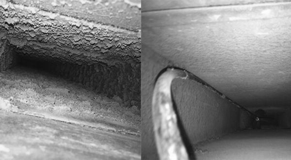 GreenDuctors Dryer Vent Cleaning NYC - 08.01.19