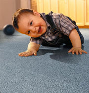 Sunnyside Carpet Cleaning Pros - 05.06.13