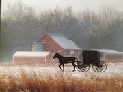 Amish Valley Sheds LLC - 10.02.20