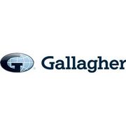 Gallagher Insurance, Risk Management & Consulting - 06.04.20