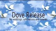 Laramie Lofts Dove Releases - 17.12.22