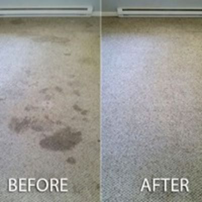 KC Carpet Cleaning & Upholstery Cleaning - 03.04.19