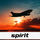 Spirit Airlines Photo