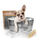 Wiggles & Wags Grooming - Pet Salon & Dog Wash Photo