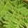 Best Cedar Products - 18.02.20