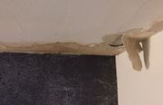 Steel City Water Damage Solutions - 26.02.22