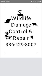 Wildlife Damage Control and Repair - 28.01.20