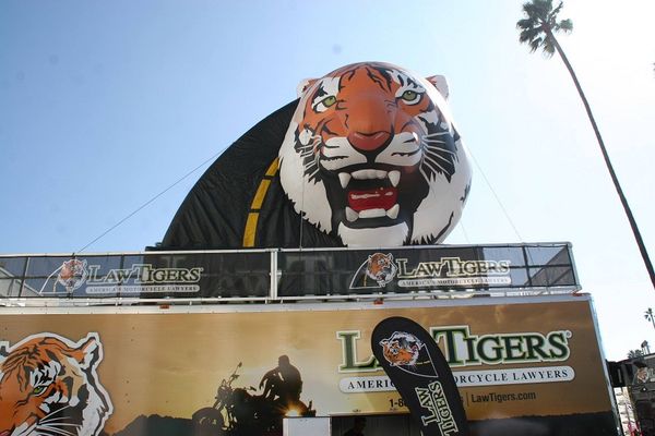 Law Tigers - 11.03.16