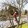 Schaumburg Tree Service - 03.09.20