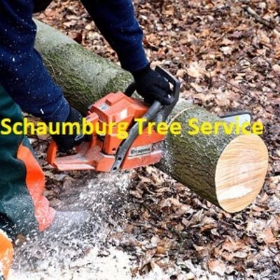 Schaumburg Tree Service - 03.09.20