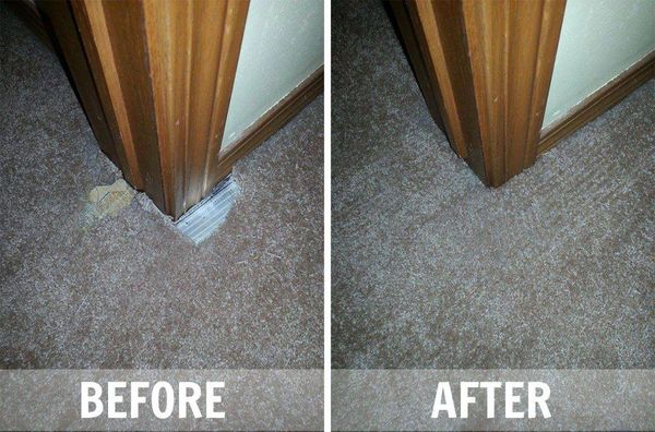 Creative Carpet Repair Tampa - 07.06.18