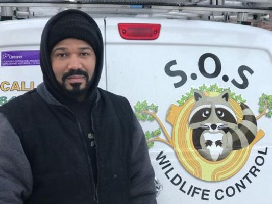 SOS Wildlife Control - 16.11.18
